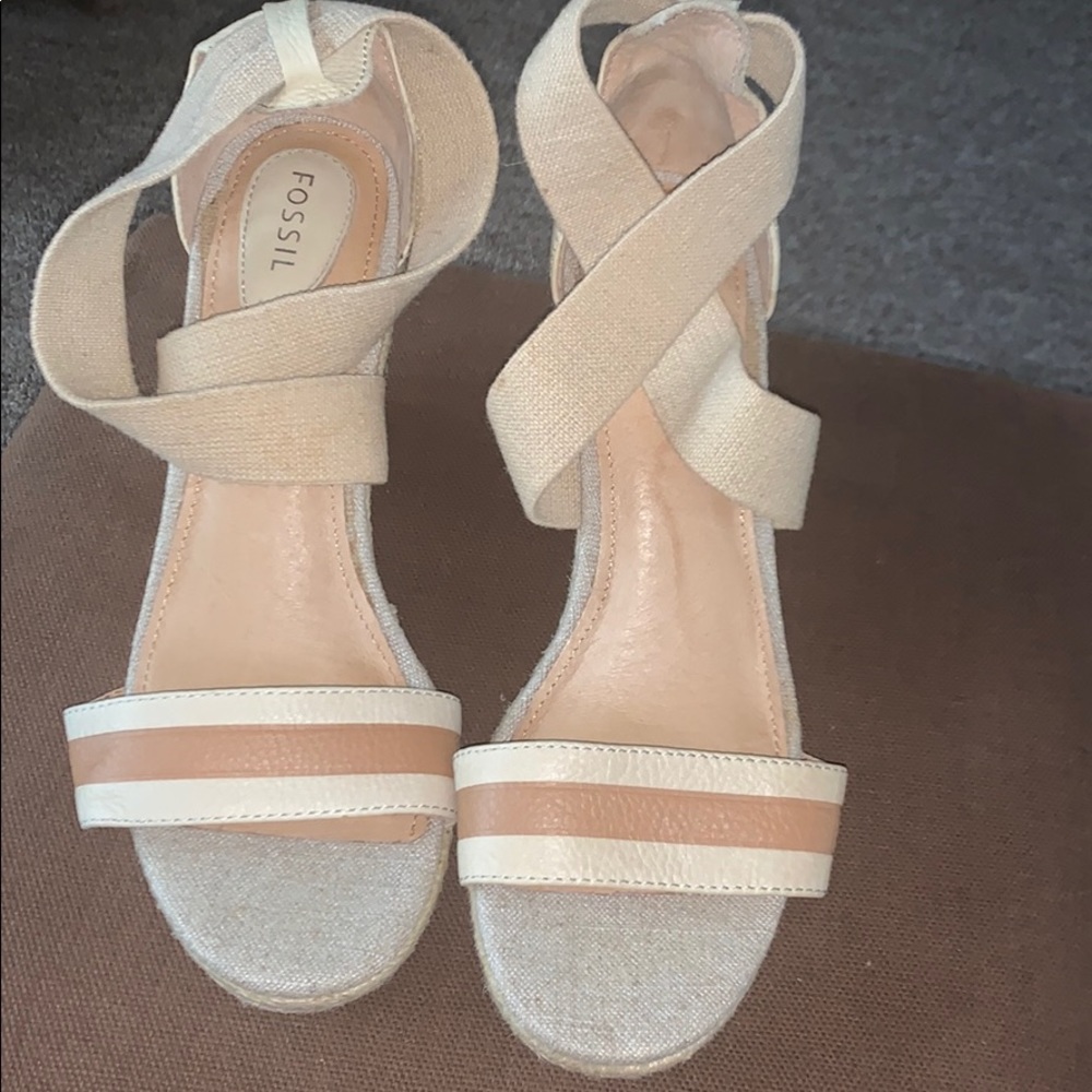 Fossil wedges